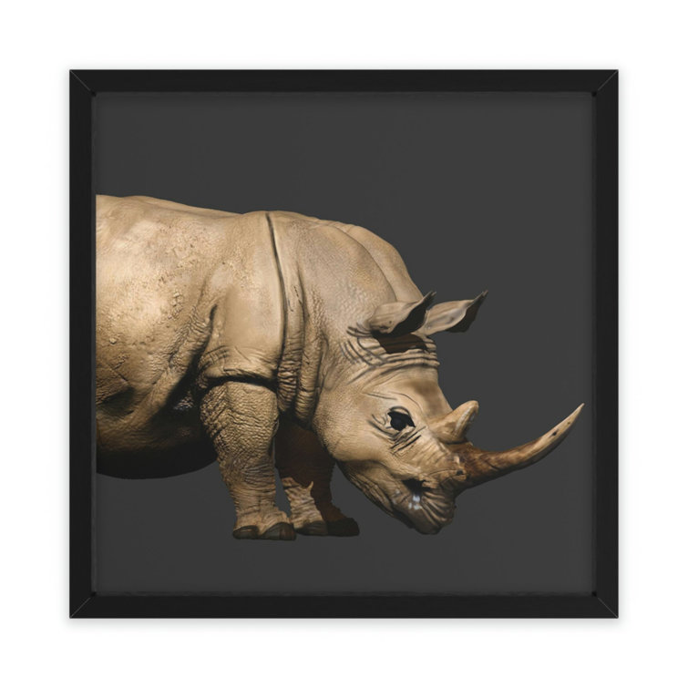 Latitude Run® Rhino Picture Frame Photograph Wayfair